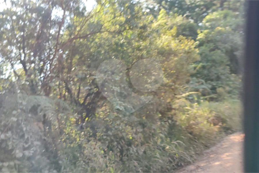 Terreno à venda em Luiz Fagundes, Mairiporã, SP