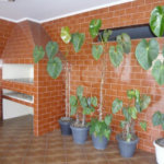 Casa à venda com 3 quartos, sendo 1 suíte, em Tremembé, São Paulo, SP