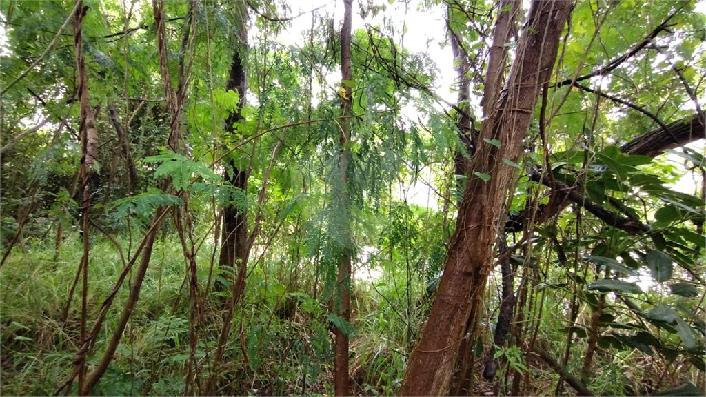 Terreno à venda em Vila Suzana, São Paulo, SP