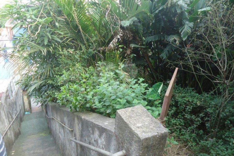 Terreno à venda em Vila Mazzei, São Paulo, SP