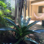 Sobrado à venda com 4 quartos, sendo 1 suíte, em Jardim Novo Mundo, São Paulo, SP