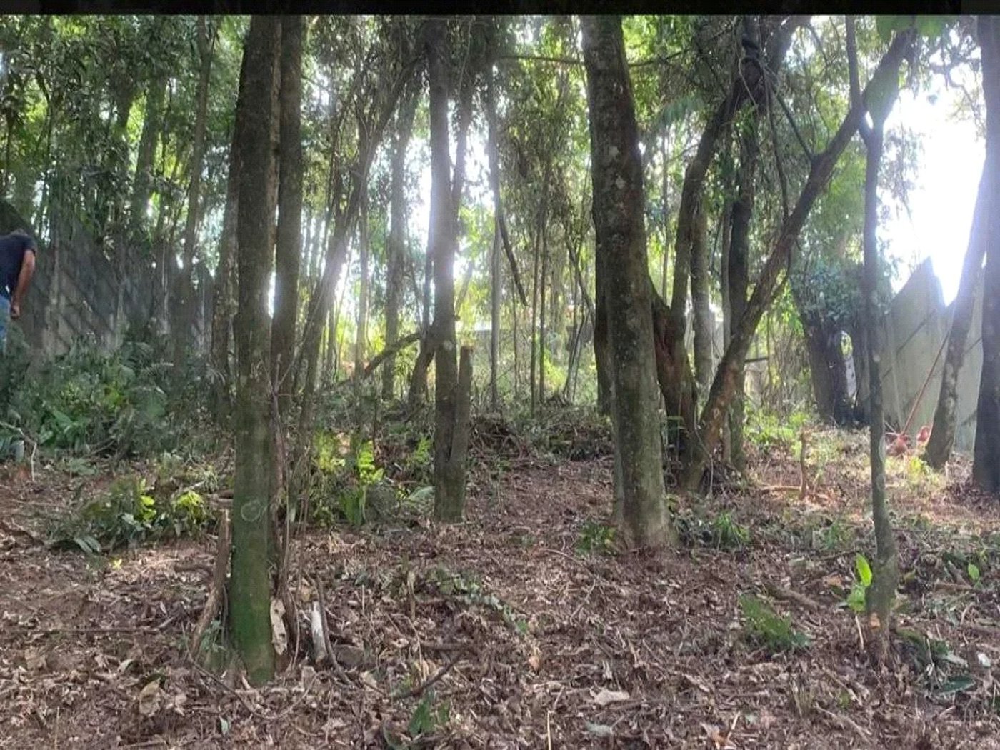 Terreno à venda em Jardim Peri Peri, São Paulo, SP