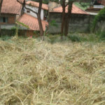Terreno à venda em Jardim do Trevo, Atibaia, SP