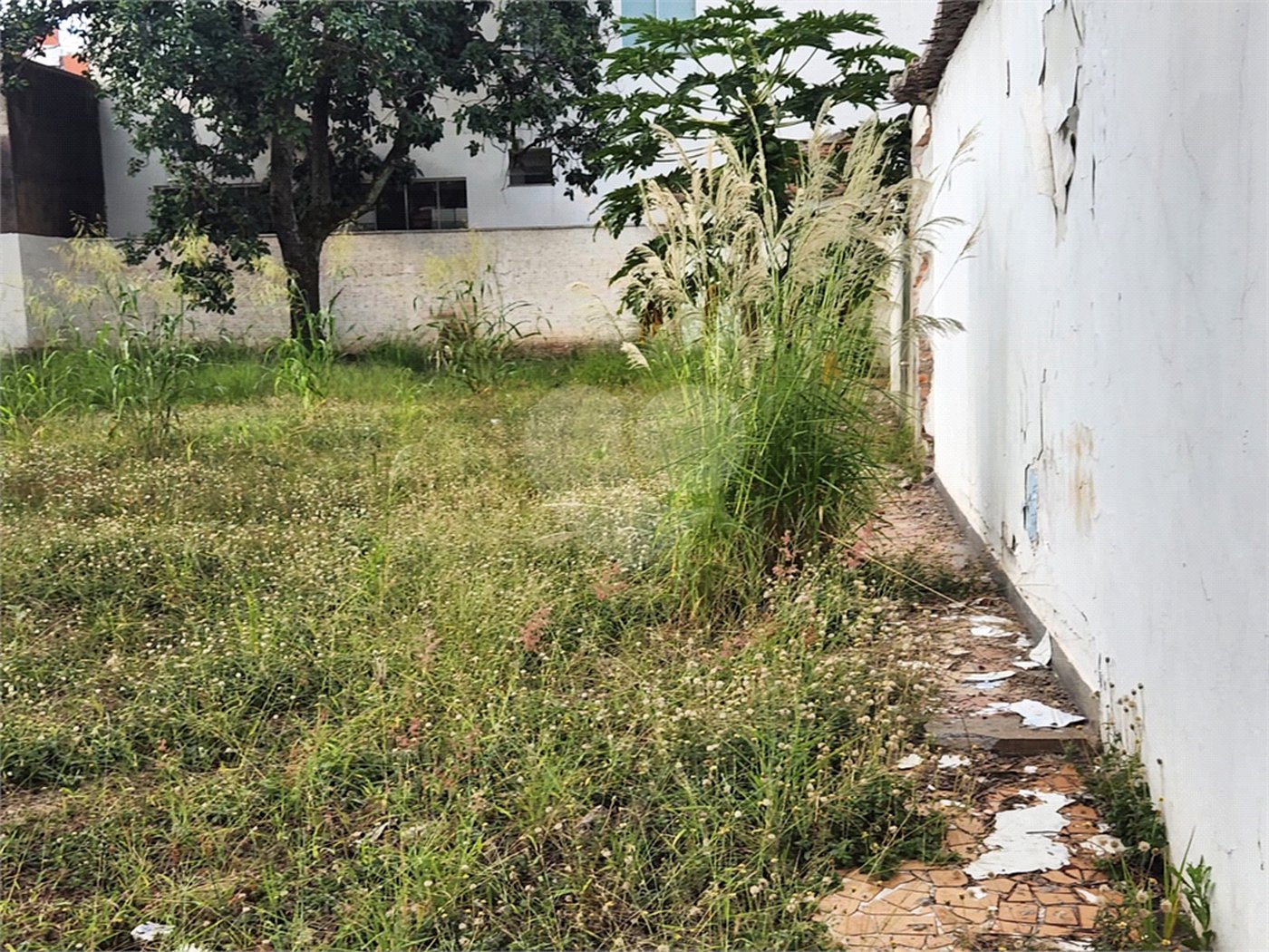 Terreno para alugar no Centro, Araraquara, SP