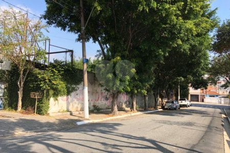 Terreno à venda ou para alugar em Vila Formosa, São Paulo, SP