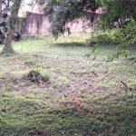 Terreno à venda em Marambaia, Vinhedo, SP