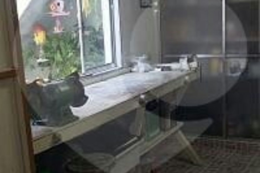 Casa à venda com 6 quartos, sendo 1 suíte,  em Itaquera, São Paulo, SP