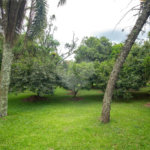 Chácara à venda com 3 quartos em Alpes Paulista (mailasqui), São Roque, SP