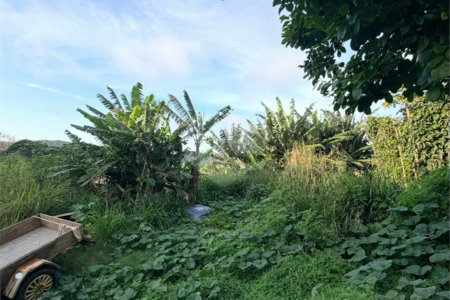 Terreno à venda em Albatroz, Armação dos Búzios, RJ
