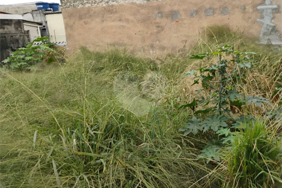 Terreno à venda na Vila Santa Catarina