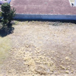 Terreno Plano para Construção ou Investimento – 3.200m² – Frente ao San Michel no bairro Campos Elíseos