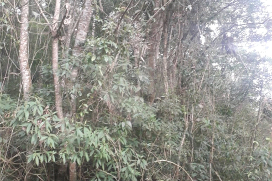 Terreno à venda em Suasalito, Mairiporã, SP