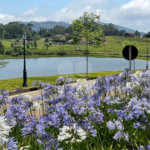 Terreno alto padrão à venda em Condomínio Serras Altas Poços de Caldas MG