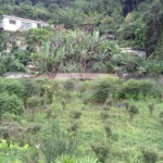 Fazenda à venda em Horto, São Paulo, SP
