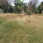 Casa à venda com 3 suítes no condomínio Amstalden Residence, Indaiatuba - SP