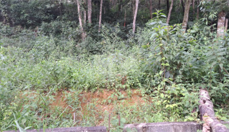 Área de Terra à venda em Terra Preta (terra Preta), Mairiporã, SP