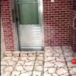Casa à venda com 5 quartos em Jaçanã, São Paulo, SP