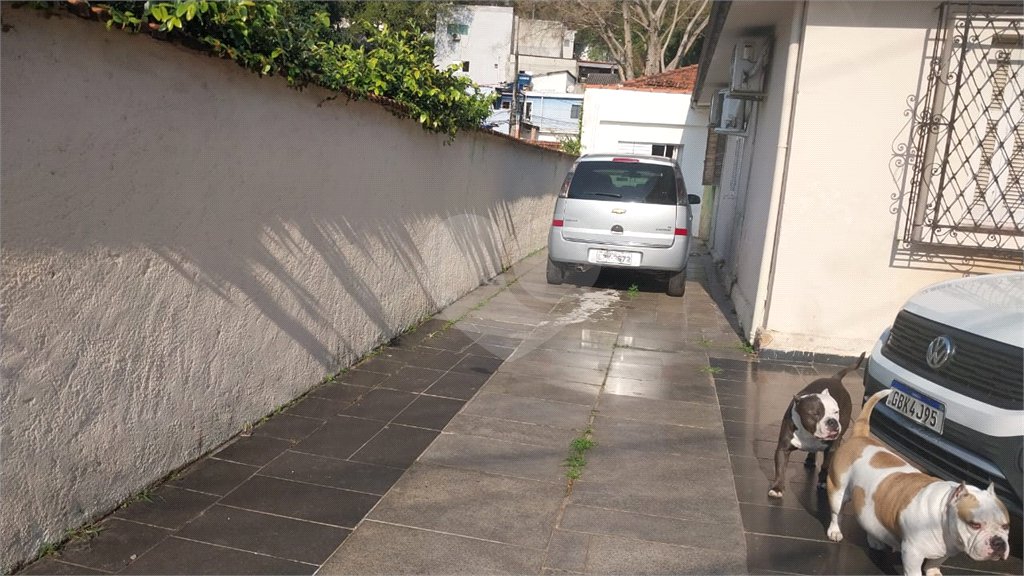 Terreno à venda com 7 quartos, sendo 3 suítes, em Tucuruvi, São Paulo, SP