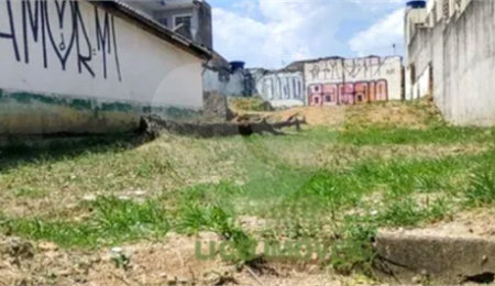 Terreno à venda com 2 quartos em Vila Maria, São Paulo, SP