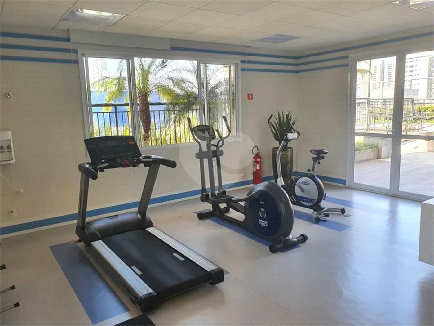 Apartamento à venda com 3 suítes em Parque São Jorge, São Paulo, SP