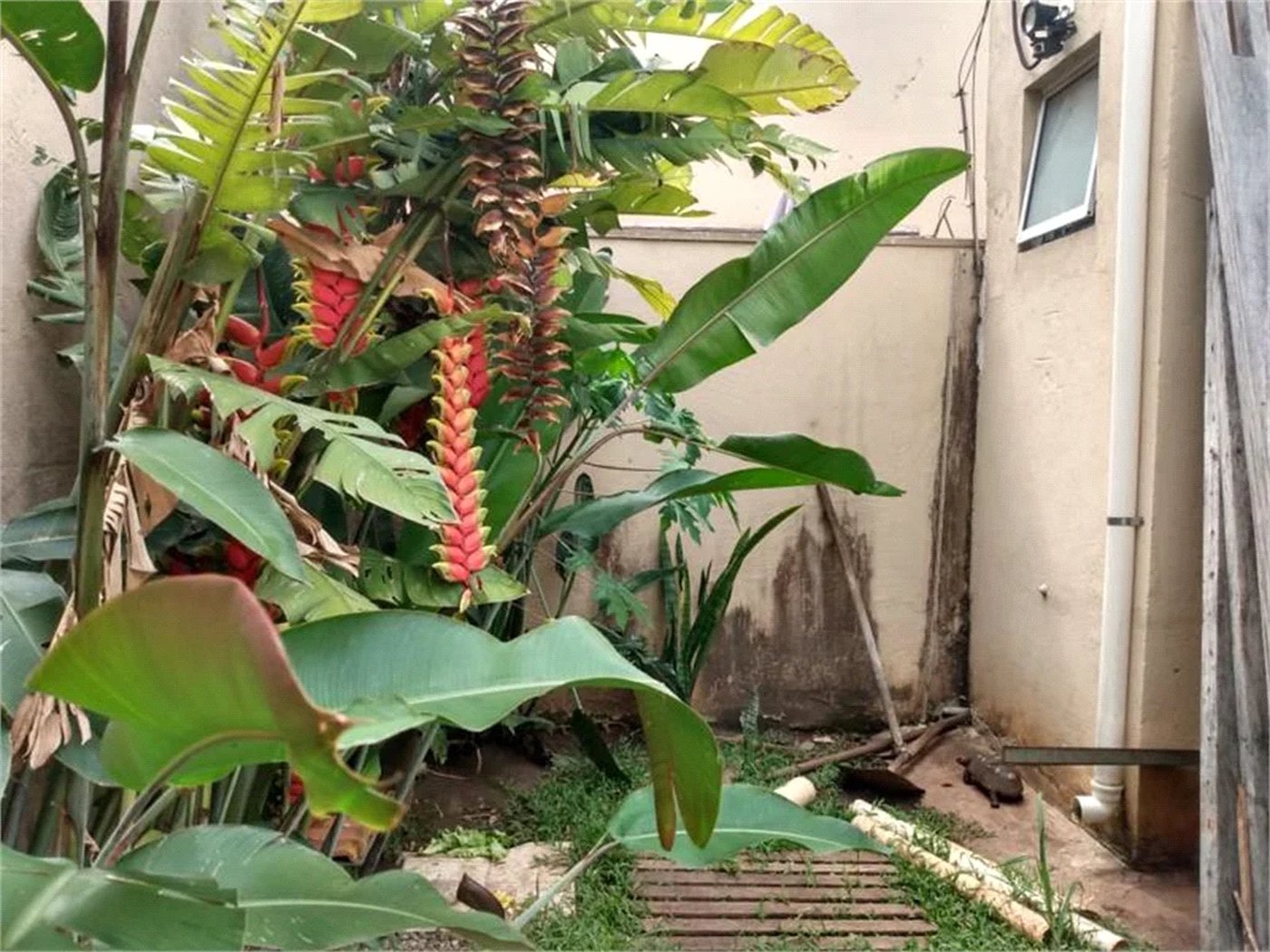 Sobrado à venda com 3 suítes em Jardim Colombo, São Paulo, SP