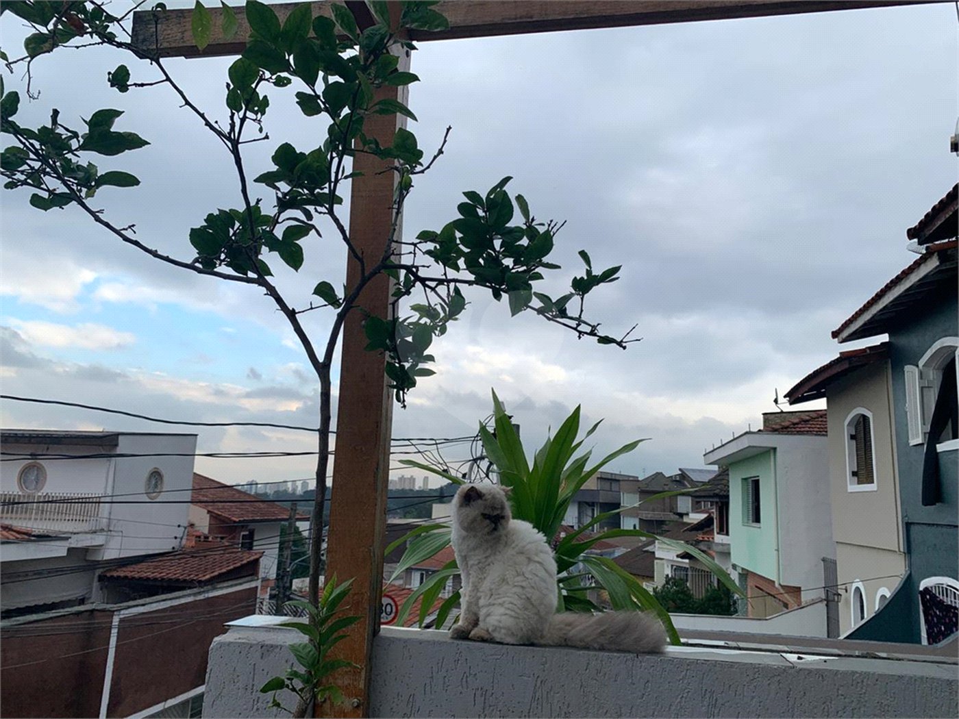 Sobrado à venda com 2 suítes em Horto, São Paulo, SP