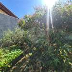 Casa Térrea à venda com 3 quartos, sendo 1 suíte, em Serra da Cantareira, Mairiporã, SP