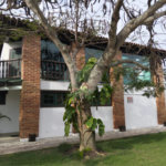 Casa em condomínio à venda com 3 quartos, sendo 2 suítes, em Portinho, Cabo Frio, RJ
