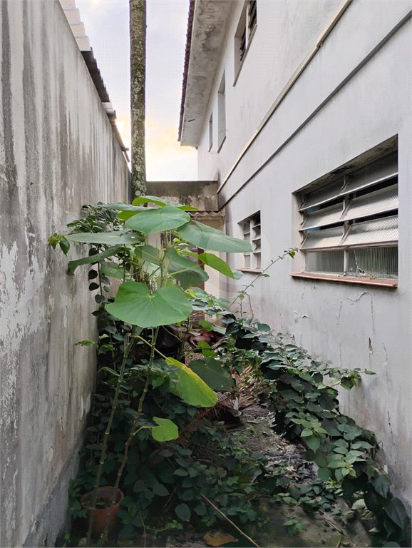 Casa à venda em Vila Mascote, São Paulo, SP