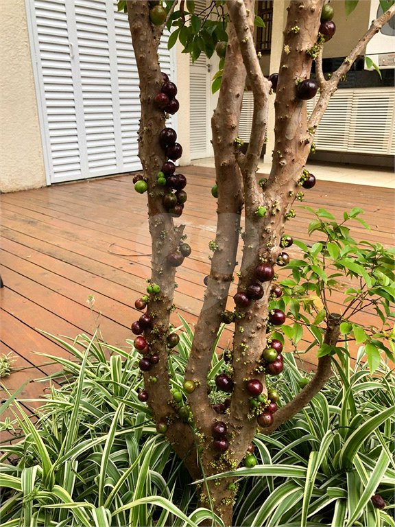 Sobrado à venda com 4 quartos, sendo 1 suíte, em Jardim Novo Mundo, São Paulo, SP