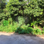 Loteamento à venda em Canjica (terra Preta), Mairiporã, SP