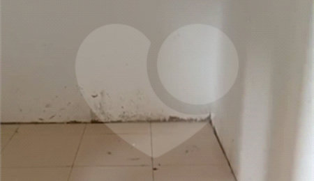 Apartamento à venda com 3 quartos em Casa Verde, São Paulo, SP