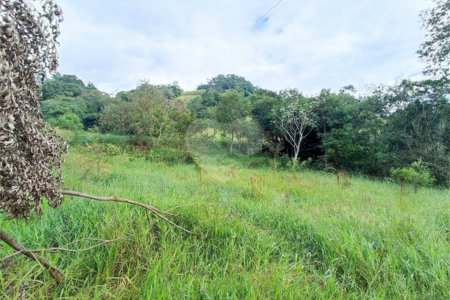 Terreno à venda em Residencial Reserva da Mata, Itapetininga, SP