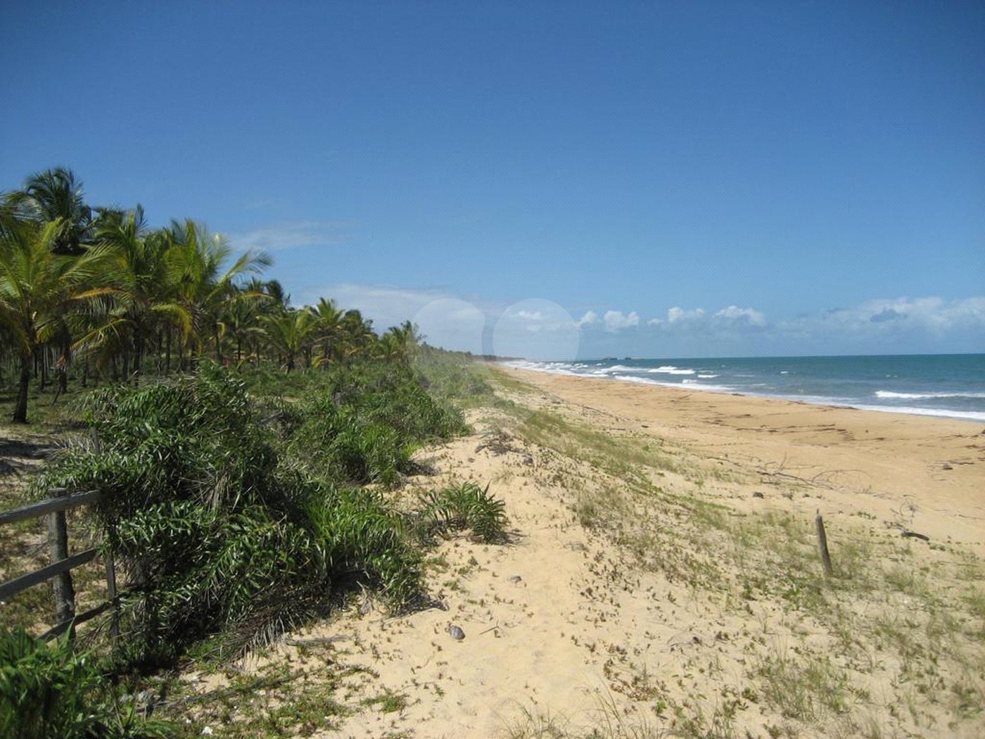 Área de Terra à venda em Mogiquiçaba, Belmonte, BA