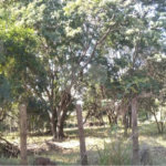 Terreno à venda em Chácaras do Guacuri, Itupeva, SP