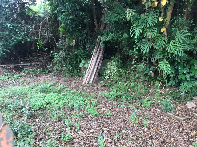 Terreno à venda em Horto Florestal, São Paulo, SP