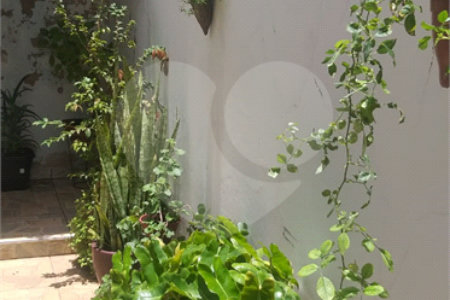Casa à venda ou para alugar com 3 quartos, sendo 1 suíte, em Parque das Colinas, Valinhos, SP