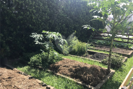 Sobrado à venda com 5 quartos, sendo 1 suíte, em Jardim São Bento, São Paulo, SP