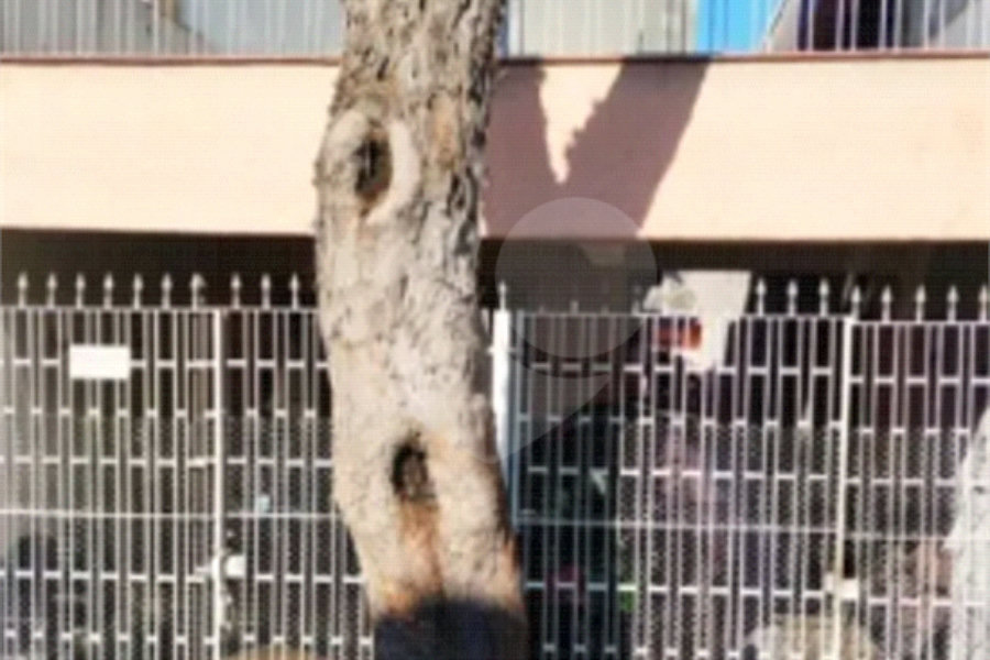 Sobrado à venda com 4 quartos em Parque Edu Chaves, São Paulo, SP