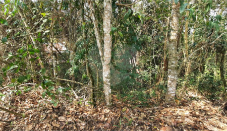 Terreno à venda no condomínio Sausalito, Mairiporã - SP