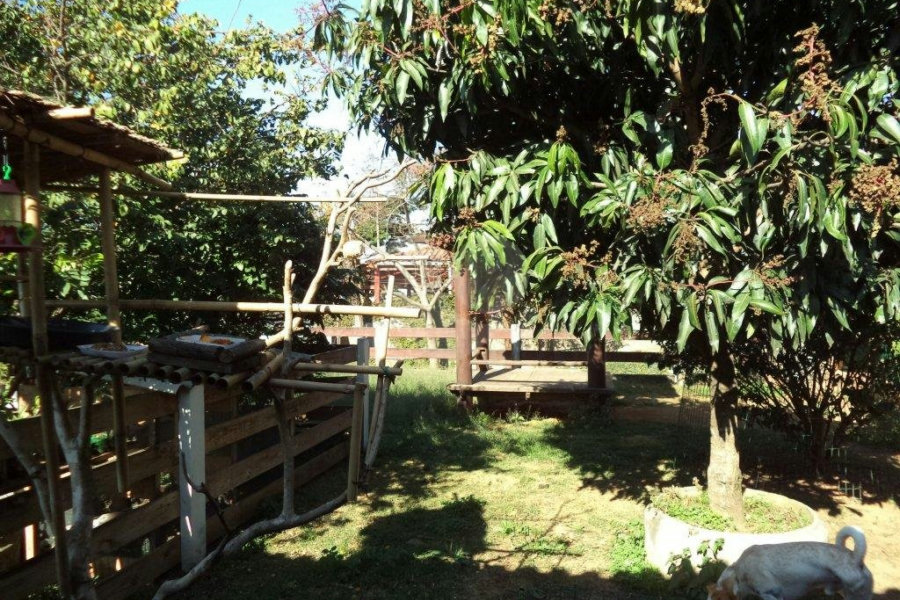 Chácara à venda com 5 quartos em Horto Florestal, São Paulo, SP