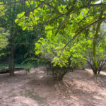 Terreno à venda em Jardim Nova América, Louveira, SP