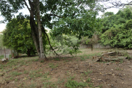 Terreno à venda em Pinheirinho, Vinhedo, SP