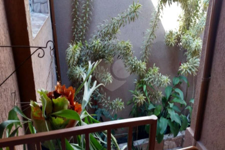 Casa à venda com 3 quartos, sendo 1 suíte, em Ipiranga, São Paulo, SP