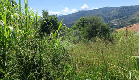 Terreno à venda em Luiz Fagundes, Mairiporã, SP