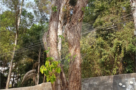 Terreno à venda em Tucuruvi, São Paulo, SP