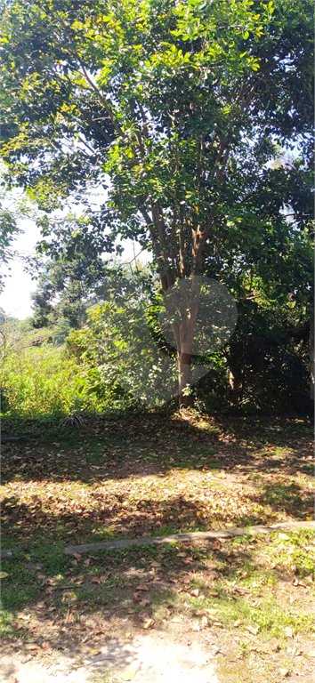 Chácara à venda com 5 quartos, sendo 1 suíte, em Estância São Luís, Suzano, SP