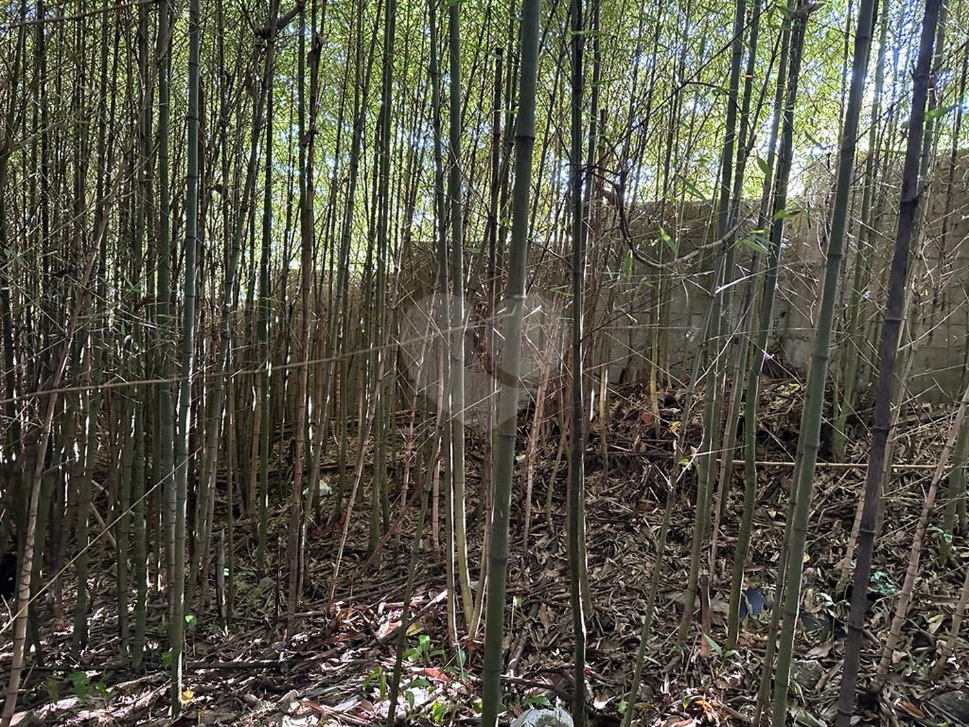 Terreno à venda em Serra da Cantareira, Mairiporã, SP