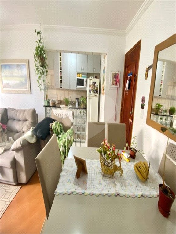 Apartamento à venda com 1 quarto em Mandaqui, São Paulo, SP