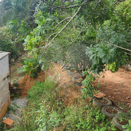Terreno à venda em Parque Maringá, Arujá, SP